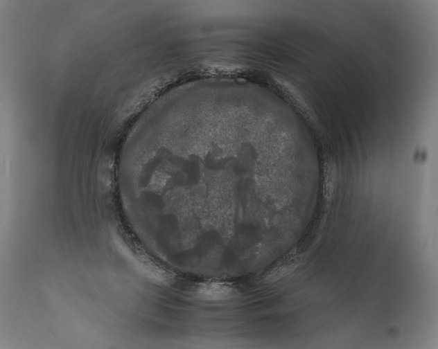 X0000111010451200907101320