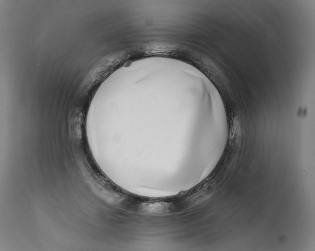 X0000111010452200907101320