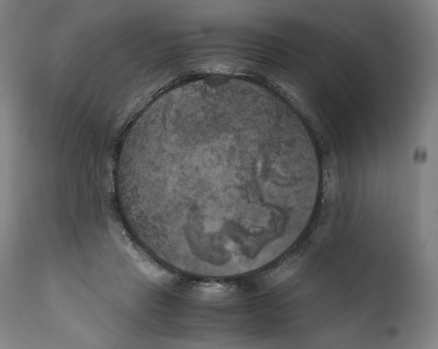 X0000111010453200907101320