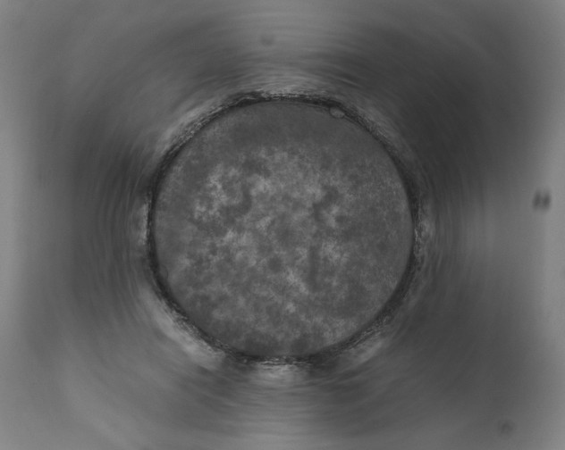 X0000111010454200907101320