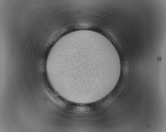 X0000111010455200907101320
