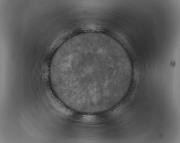 X0000111010457200907101320