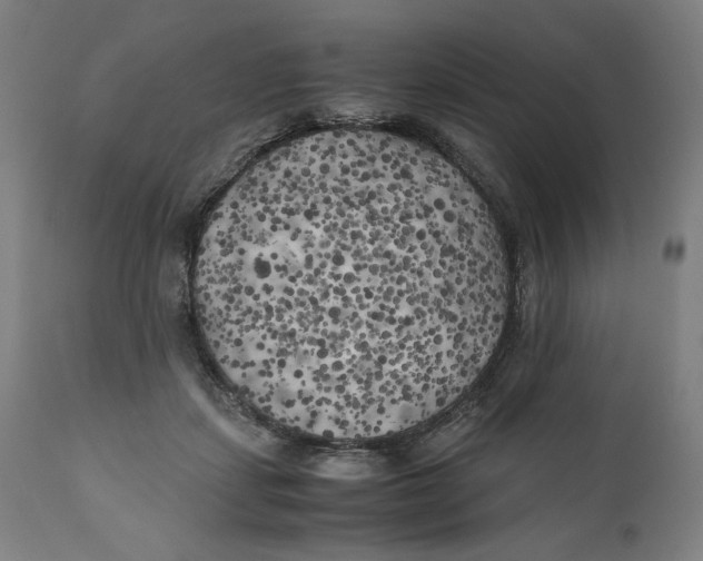 X0000111010459200907101320