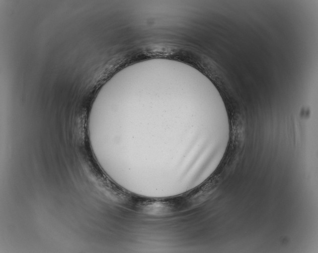 X0000111010460200907101320