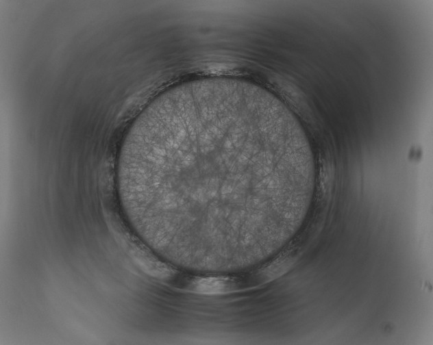 X0000111010461200907101320