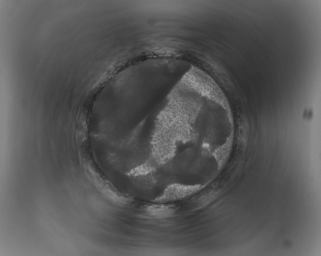 X0000111010465200907101320