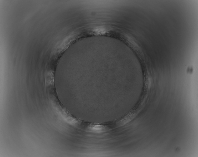 X0000111010467200907101320