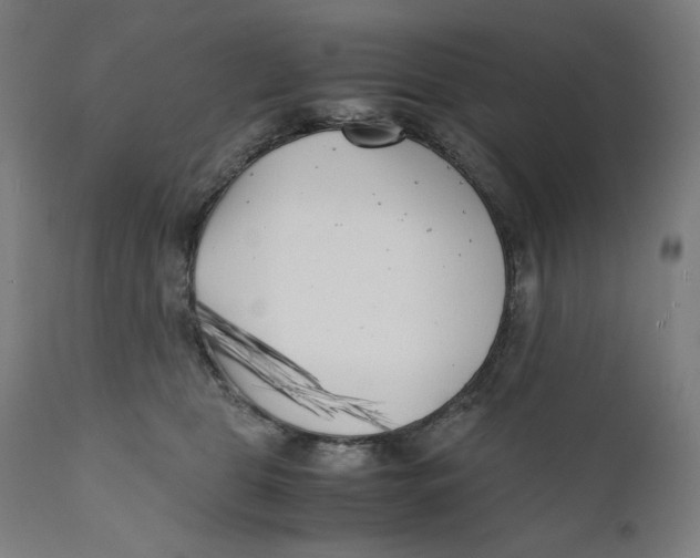 X0000111010469200907101320