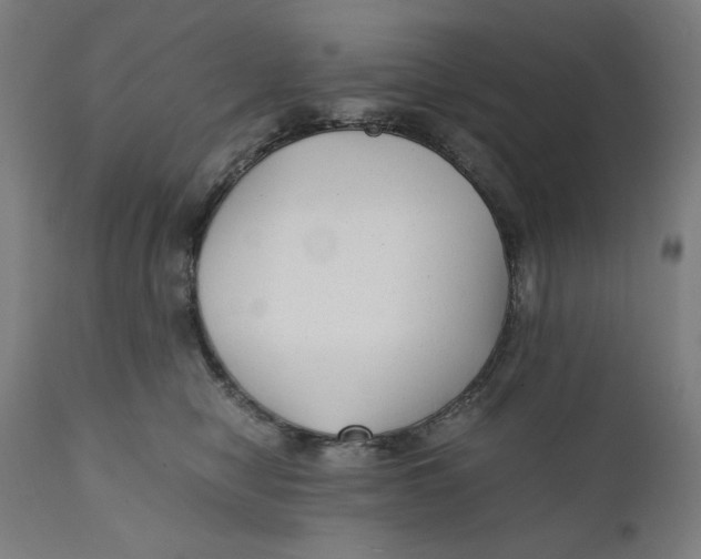 X0000111010470200907101320