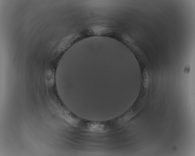 X0000111010471200907101320