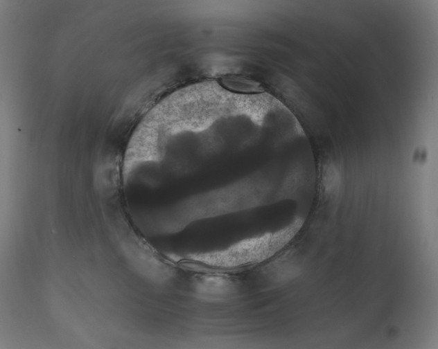 X0000111010475200907101320