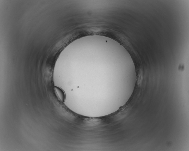 X0000111010476200907101320