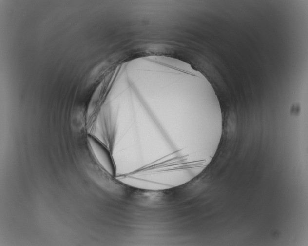 X0000111010478200907101320