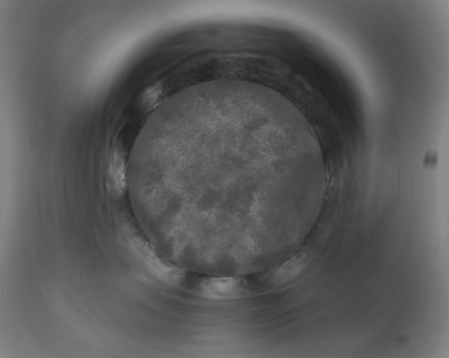 X0000111010479200907101320