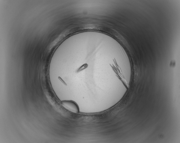 X0000111010482200907101320