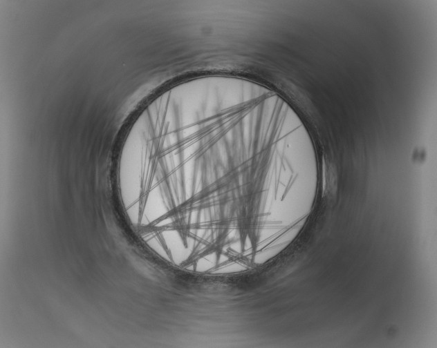 X0000111010483200907101320
