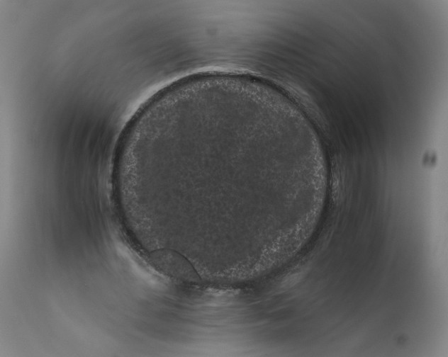 X0000111010484200907101319