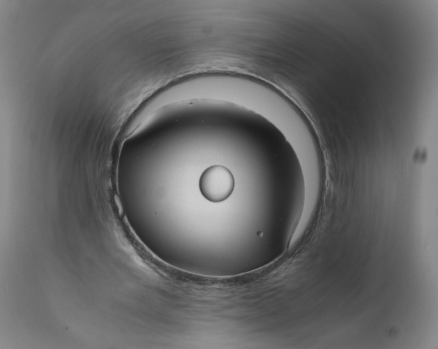 X0000111010485200907101319