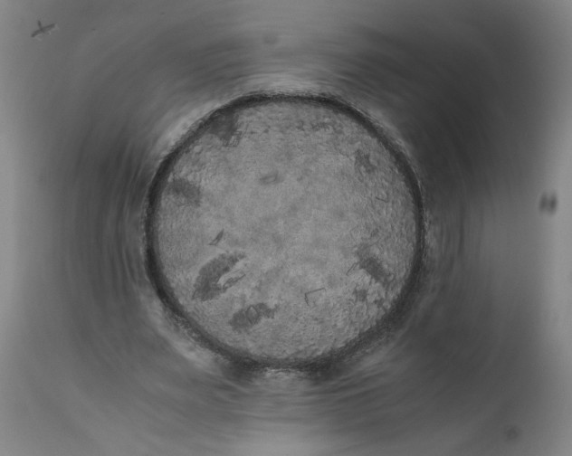 X0000111010487200907101319