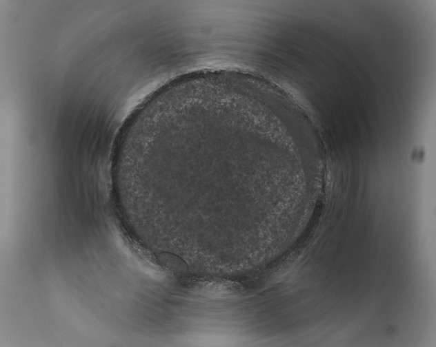 X0000111010488200907101319