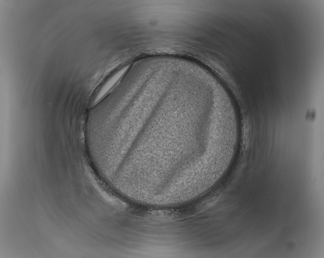 X0000111010489200907101319