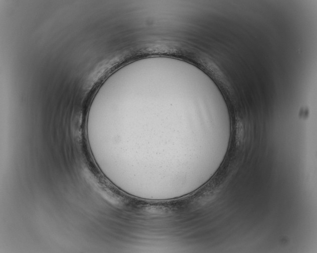 X0000111010490200907101319