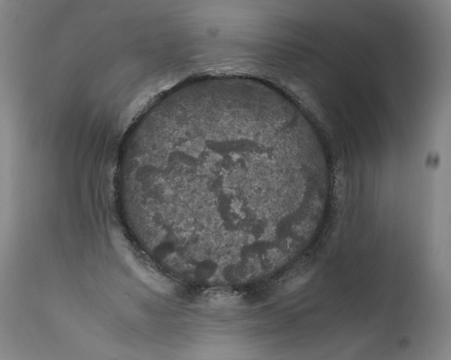 X0000111010491200907101319