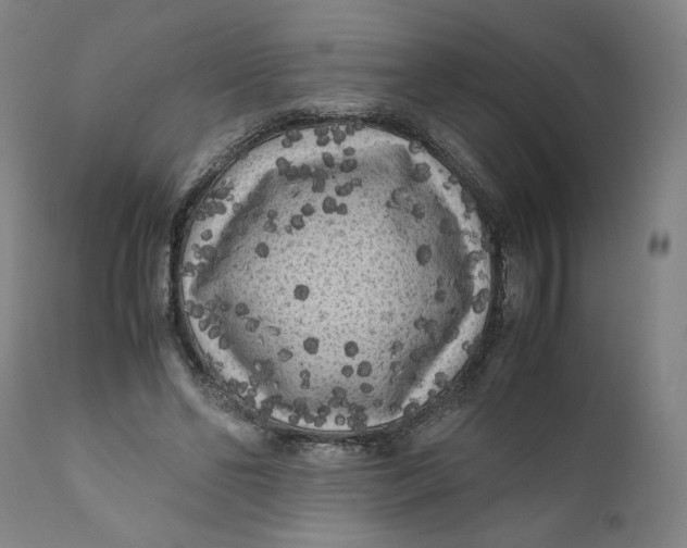 X0000111010494200907101319