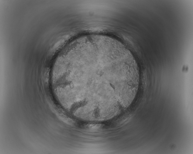 X0000111010495200907101319