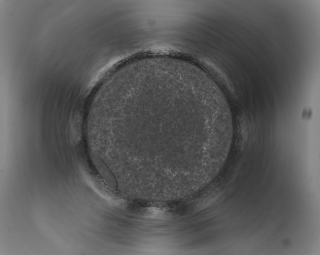 X0000111010496200907101319