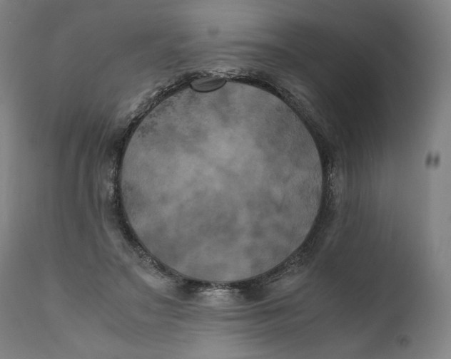 X0000111010499200907101319