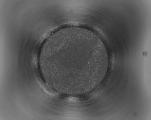 X0000111010500200907101319