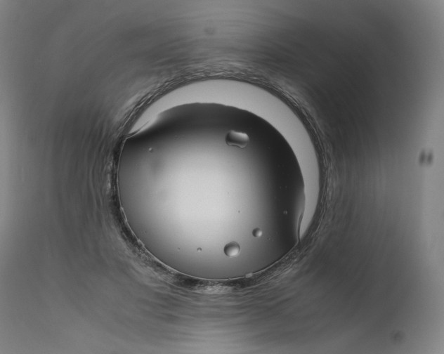 X0000111010501200907101319