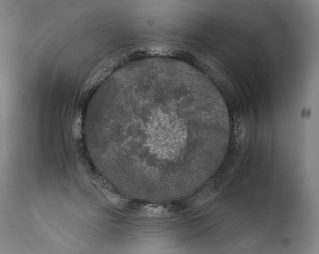 X0000111010502200907101319