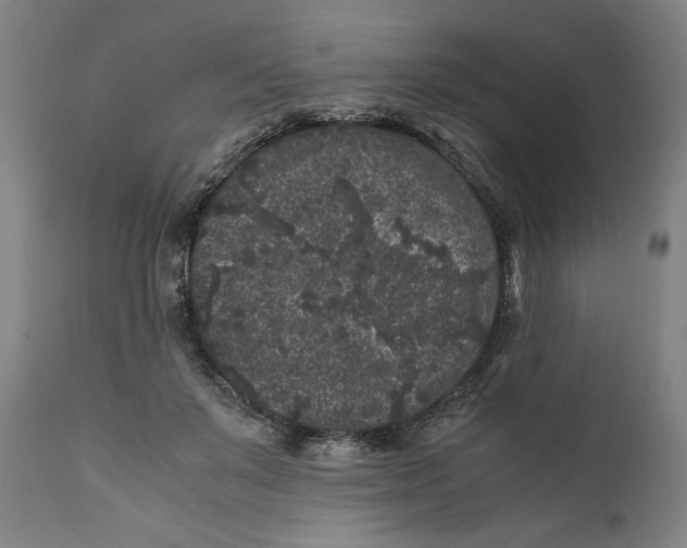 X0000111010503200907101319