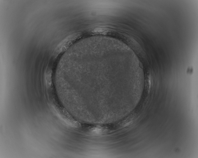 X0000111010504200907101319