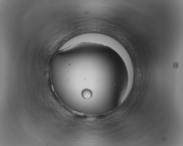 X0000111010505200907101319