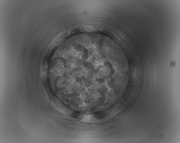 X0000111010507200907101319
