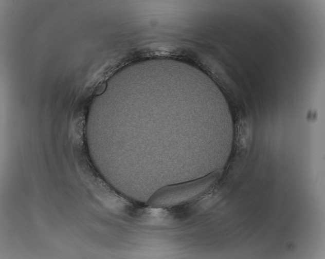 X0000111010509200907101319