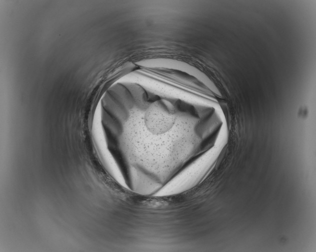 X0000111010512200907101319