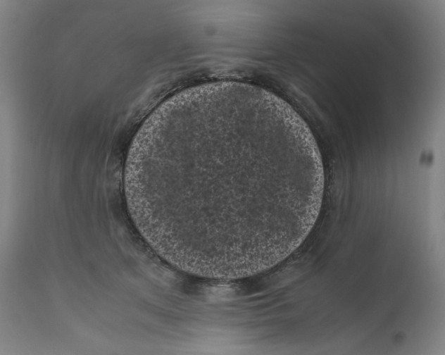 X0000111010513200907101319