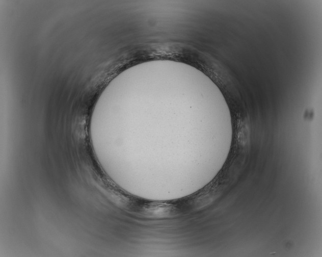 X0000111010514200907101319
