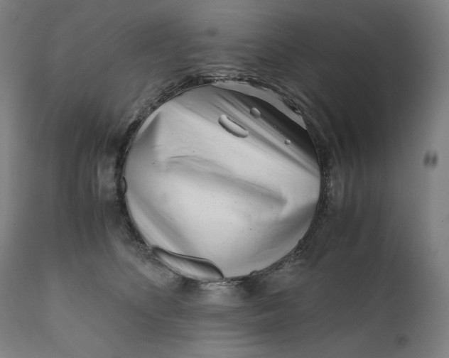 X0000111010516200907101319