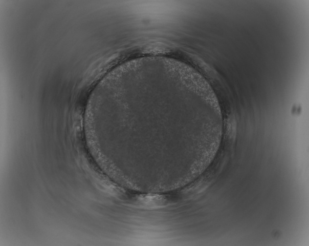 X0000111010517200907101319