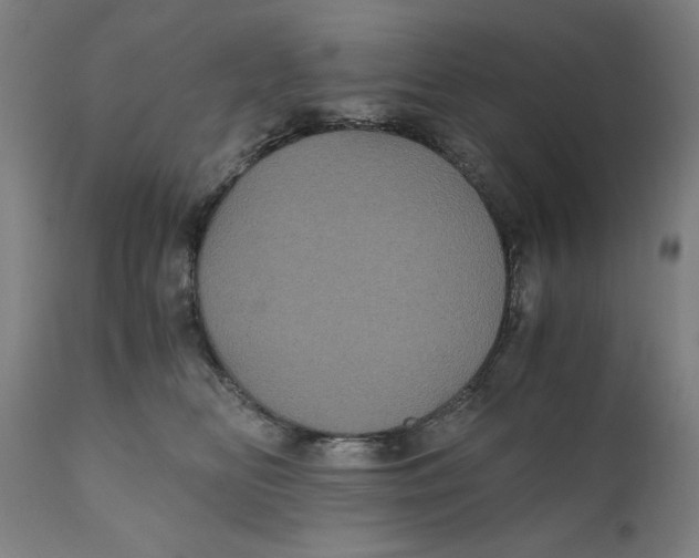X0000111010518200907101319
