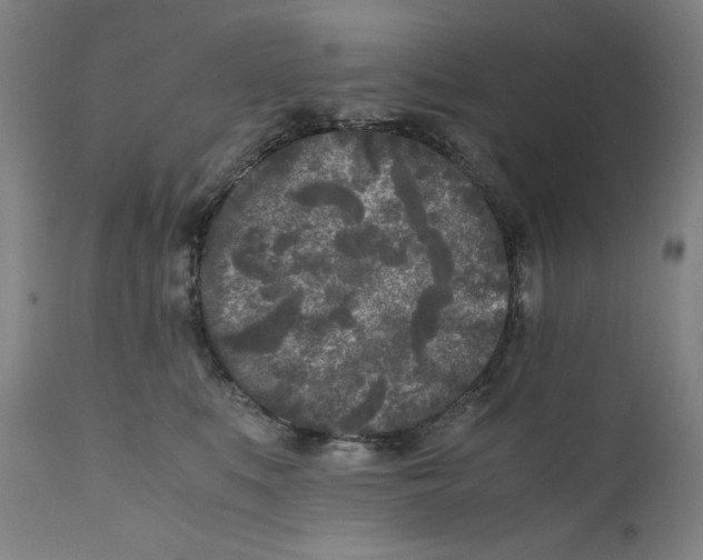 X0000111010519200907101319
