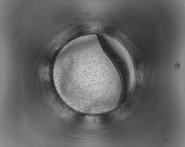 X0000111010520200907101319