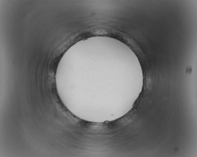 X0000111010521200907101319