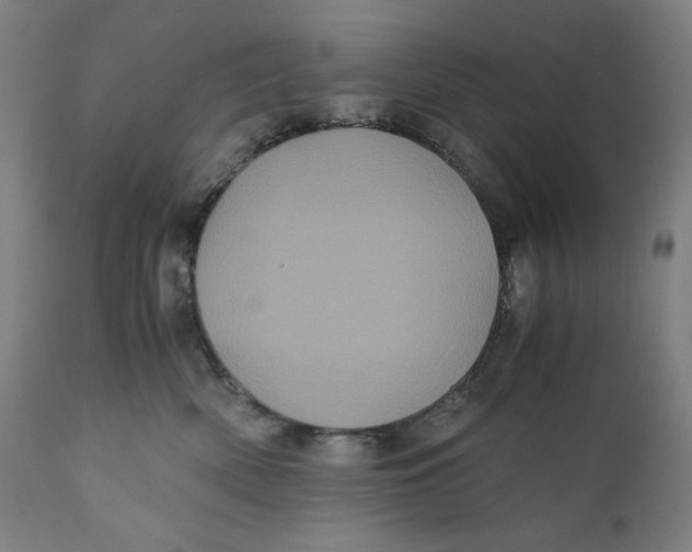 X0000111010522200907101319