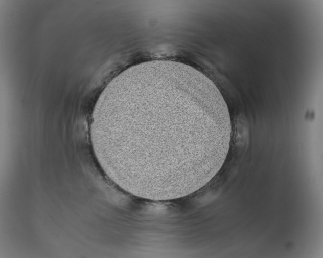 X0000111010523200907101319